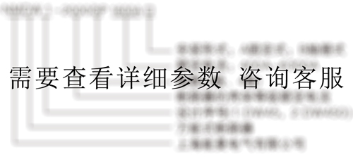 液晶多功能電力儀表型號(hào)說(shuō)明